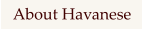 About Havanese